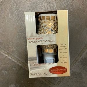 Glass, pluggable, fragrance warmer